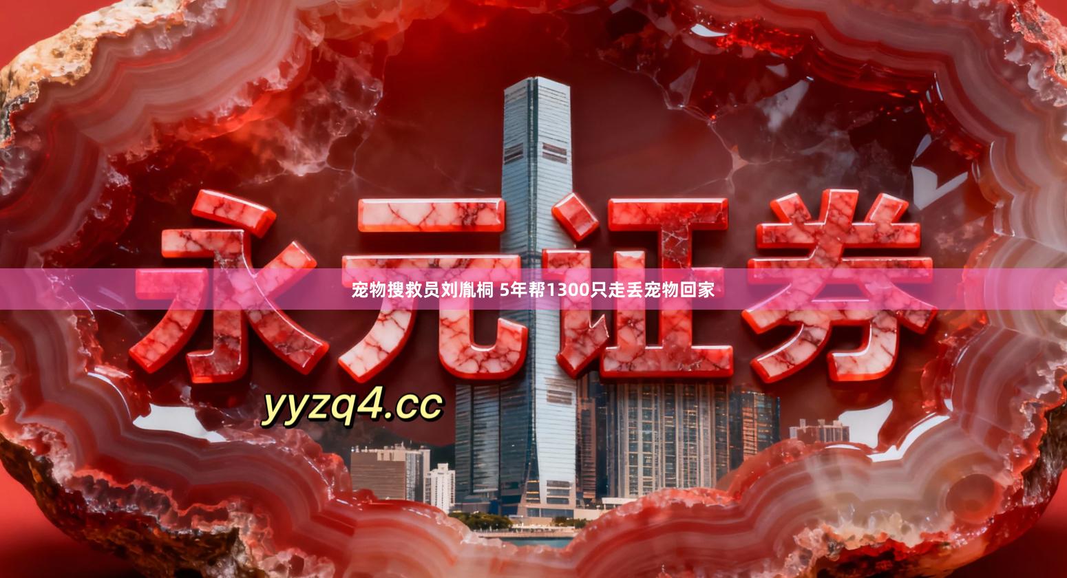 宠物搜救员刘胤桐 5年帮1300只走丢宠物回家